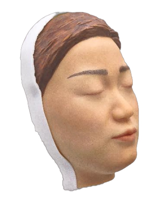 Head Model